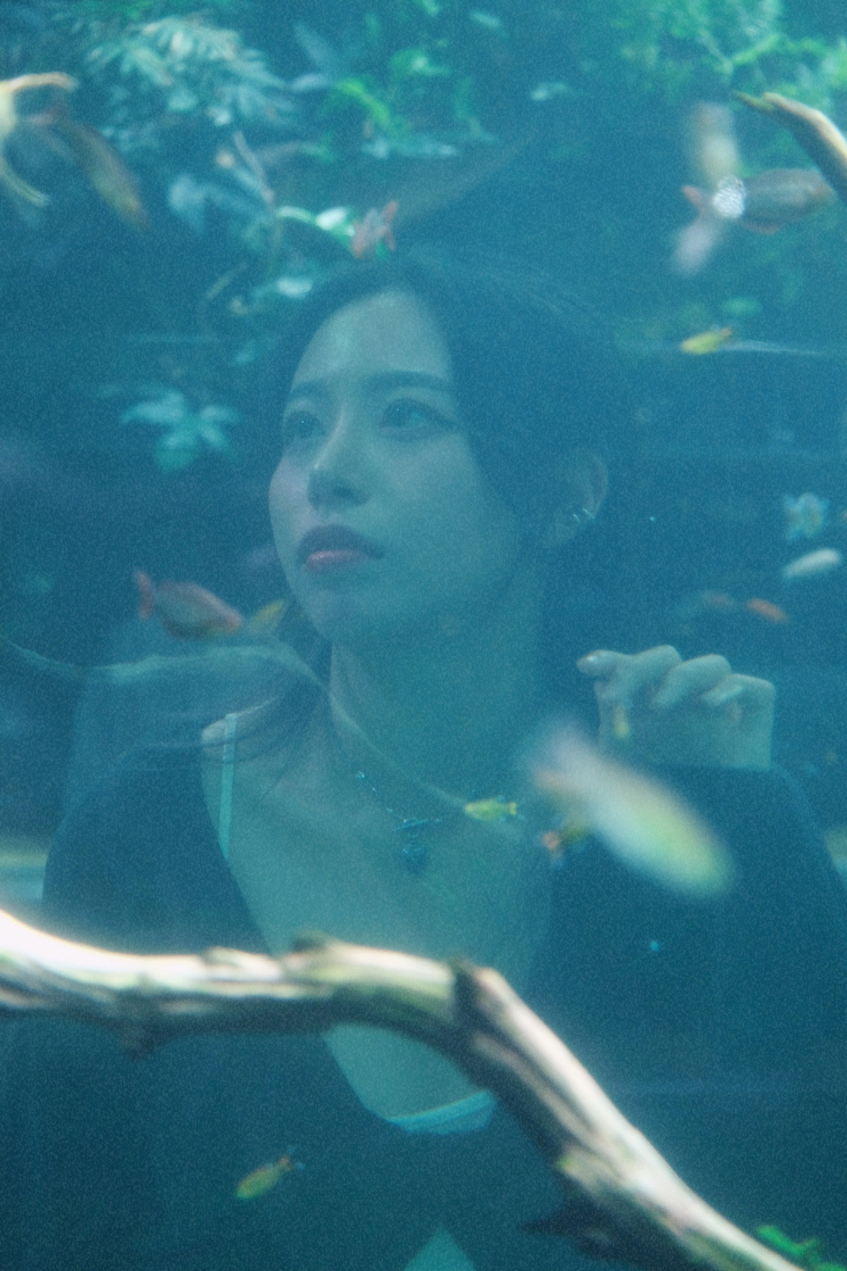 출연 전문가 프로필 사진